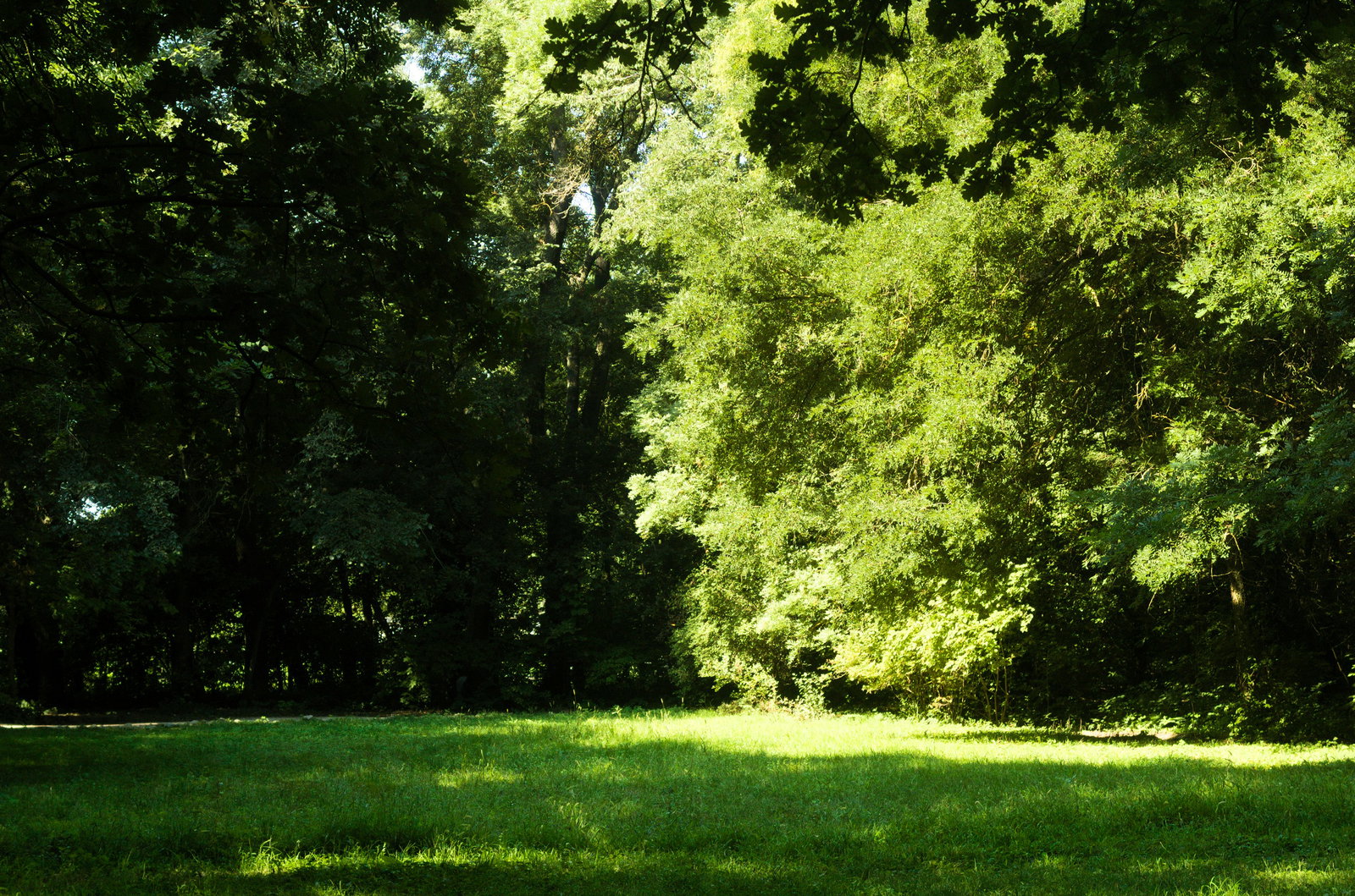 Parks and gardens