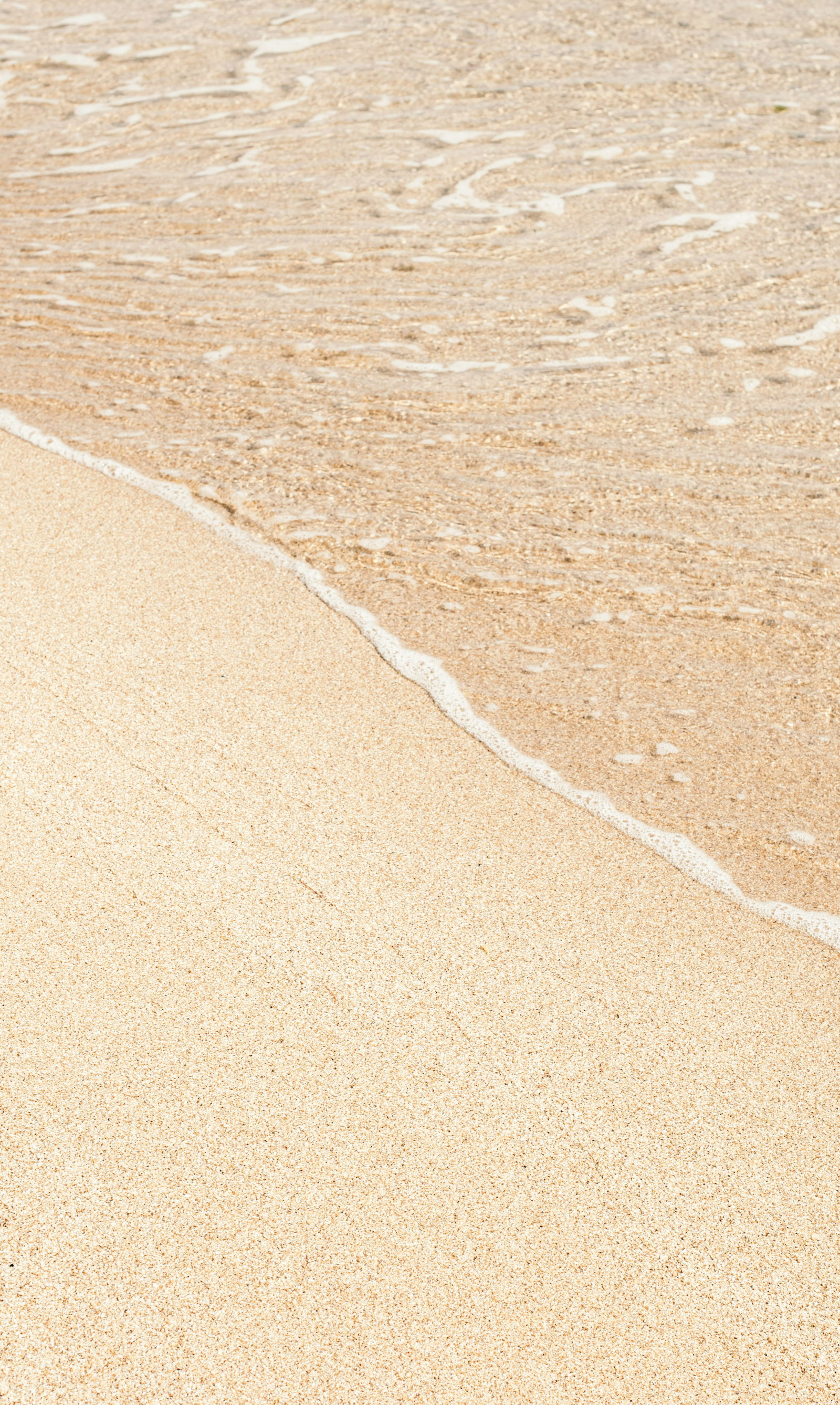 The beach